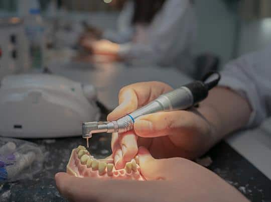 You are currently viewing Study of dentistry in Turkish Cyprus